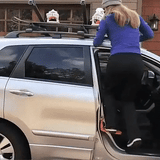 Car Door Step Folding Aluminum Alloy Car Step Universal Fit Most Cars SUVs and Trucks