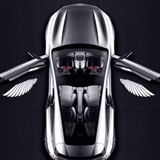Angel Wing Car Door Lights